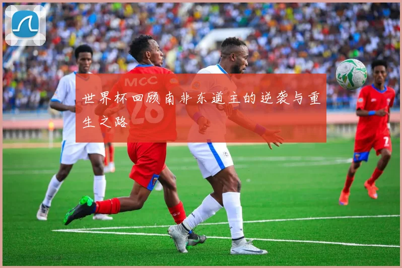 世界杯回顾南非东道主的逆袭与重生之路